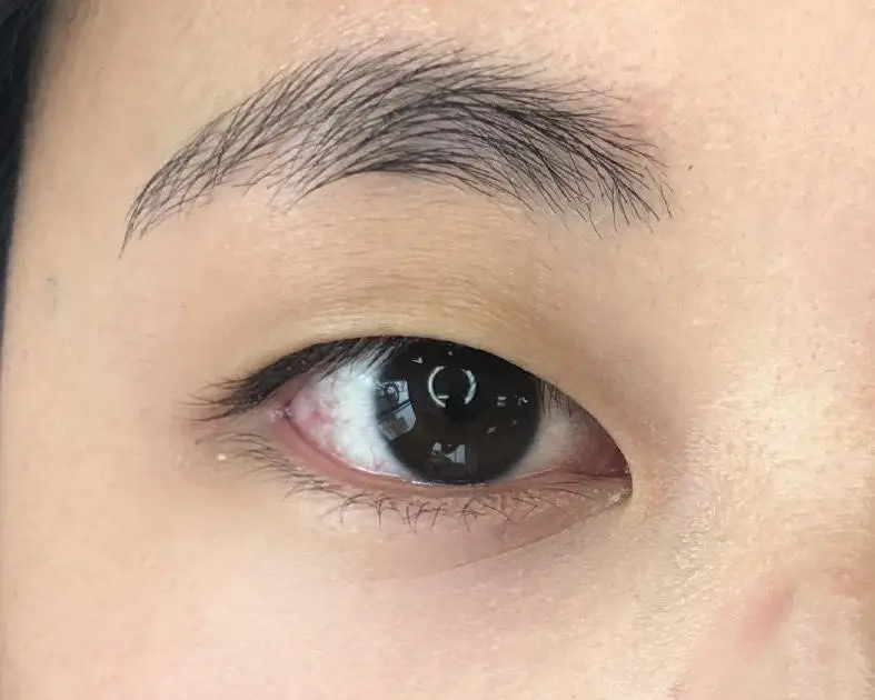 Mono Eyelids